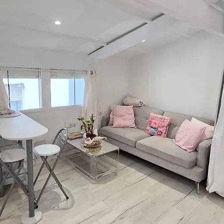 Apartment Loft En El Centro *