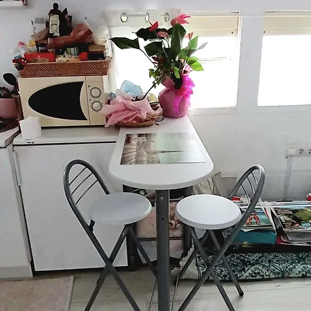 Apartment Loft En El Centro